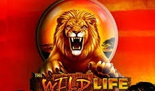 The Wild Life slots free online
