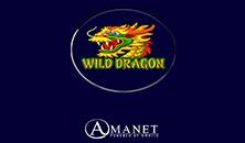 Wild Dragon slots online