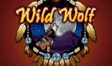 Play Wild Wolf slots online free