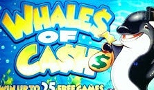 Free Wwhales Of Cash slots online