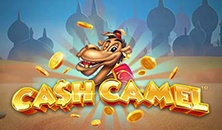 Cash Camel slots online