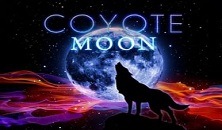 Play Coyote Moon Igt slots online free