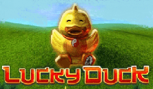 Lucky Duck slots free online