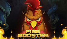 Fire Rooster slots online