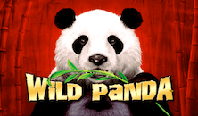 Wild Panda slots free online