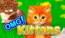 Free Omg Kittens slots online