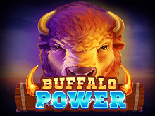 Buffalo Power: Hold And Win