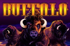 Buffalo slots free online
