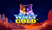 Wolf Gold Slots Online
